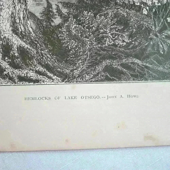 Art Print Hemlock Trees Lake Otsego New York Nature John A. Hows Antique 1874 - Picture 12 of 12